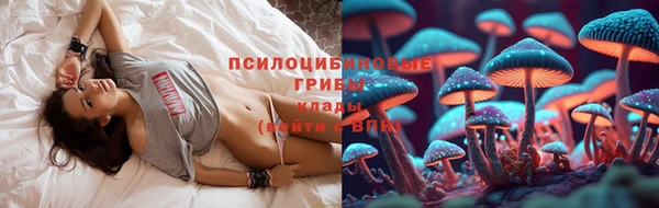 меф Богородск