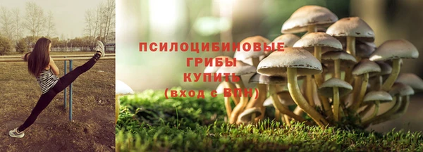 меф Богородск
