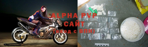 индика Бородино