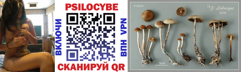 Галлюциногенные грибы мухоморы Сертолово